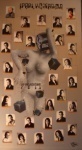 2006 / 4.E
